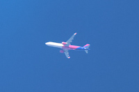 9H-WDT